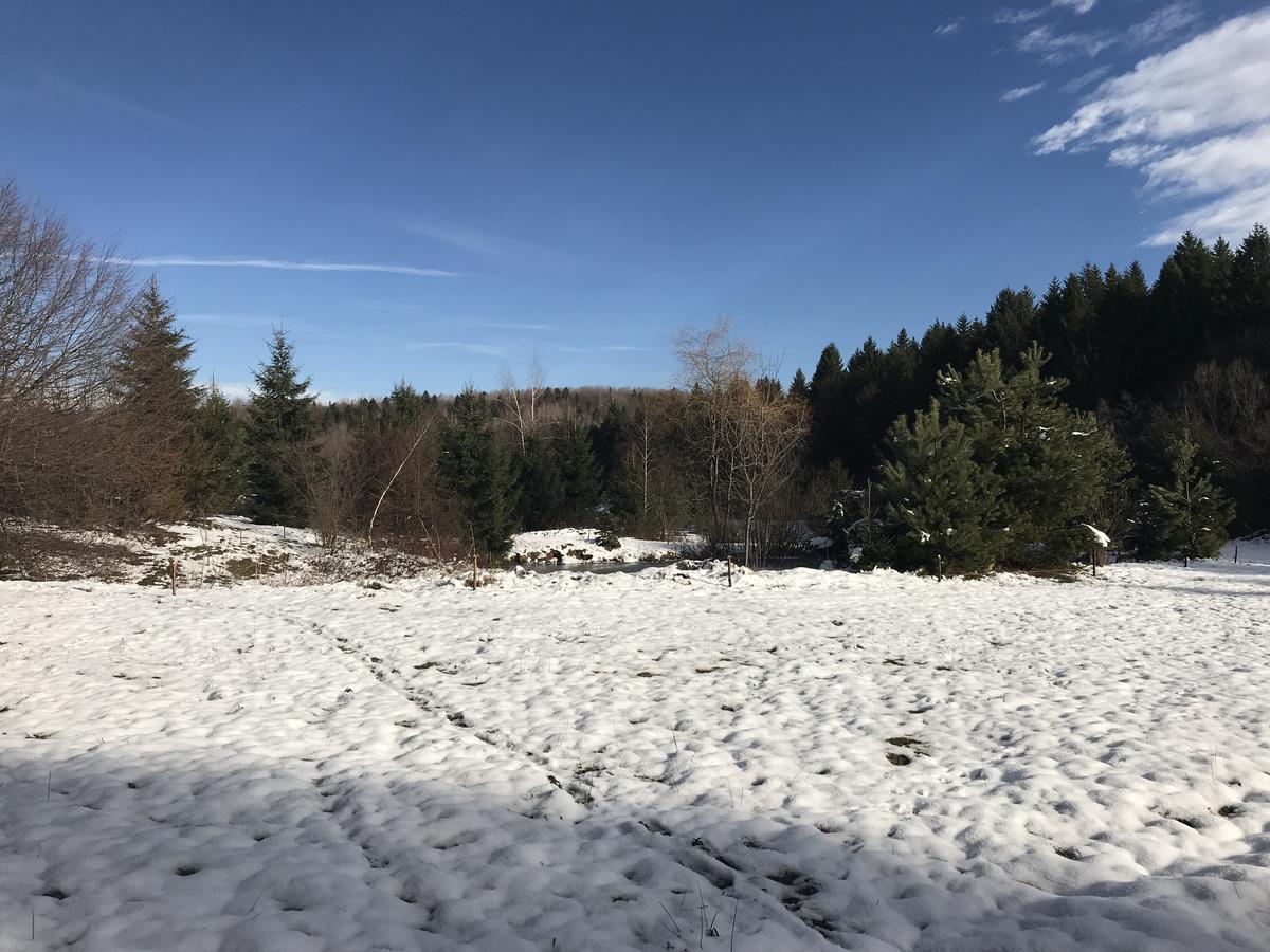Vila Eden Porumbacu de Sus Bagian luar foto