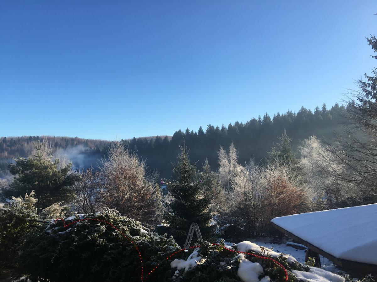 Vila Eden Porumbacu de Sus Bagian luar foto
